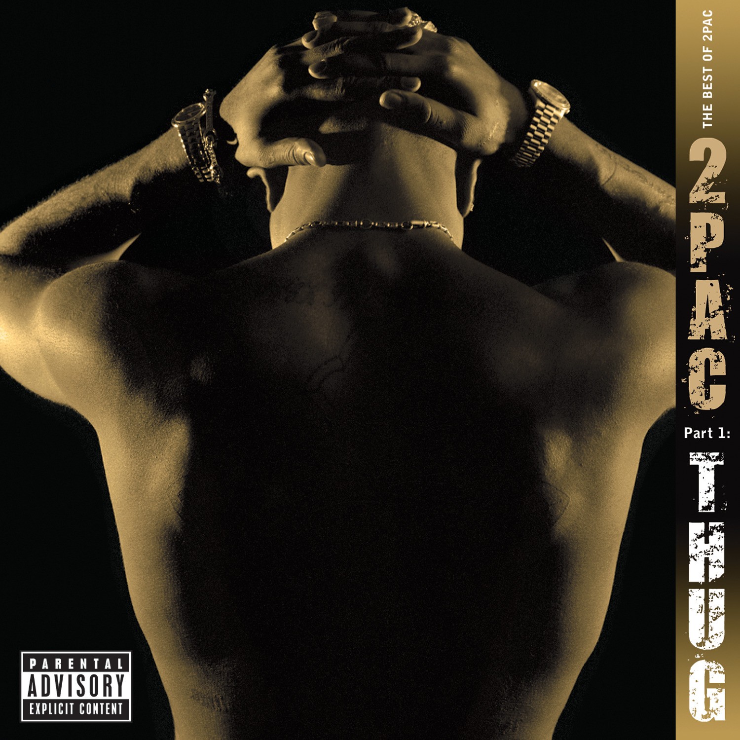2Pac The Best of 2Pac: Part 1: Thug (Vinyl LP)