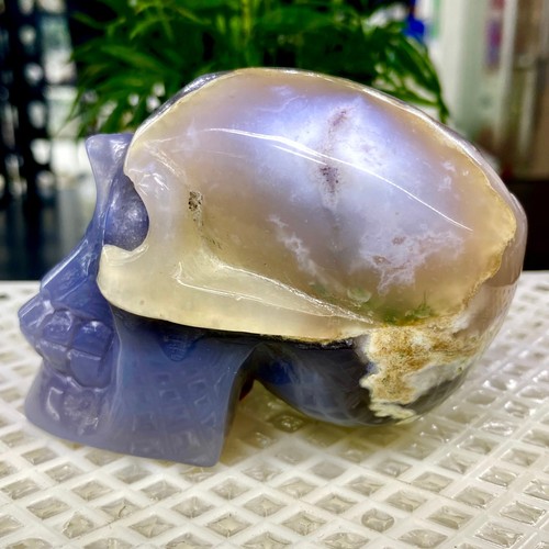 467G Natural Crystal Rare Banded Blue Flower Agate Skull Carving - Picture 9 of 11