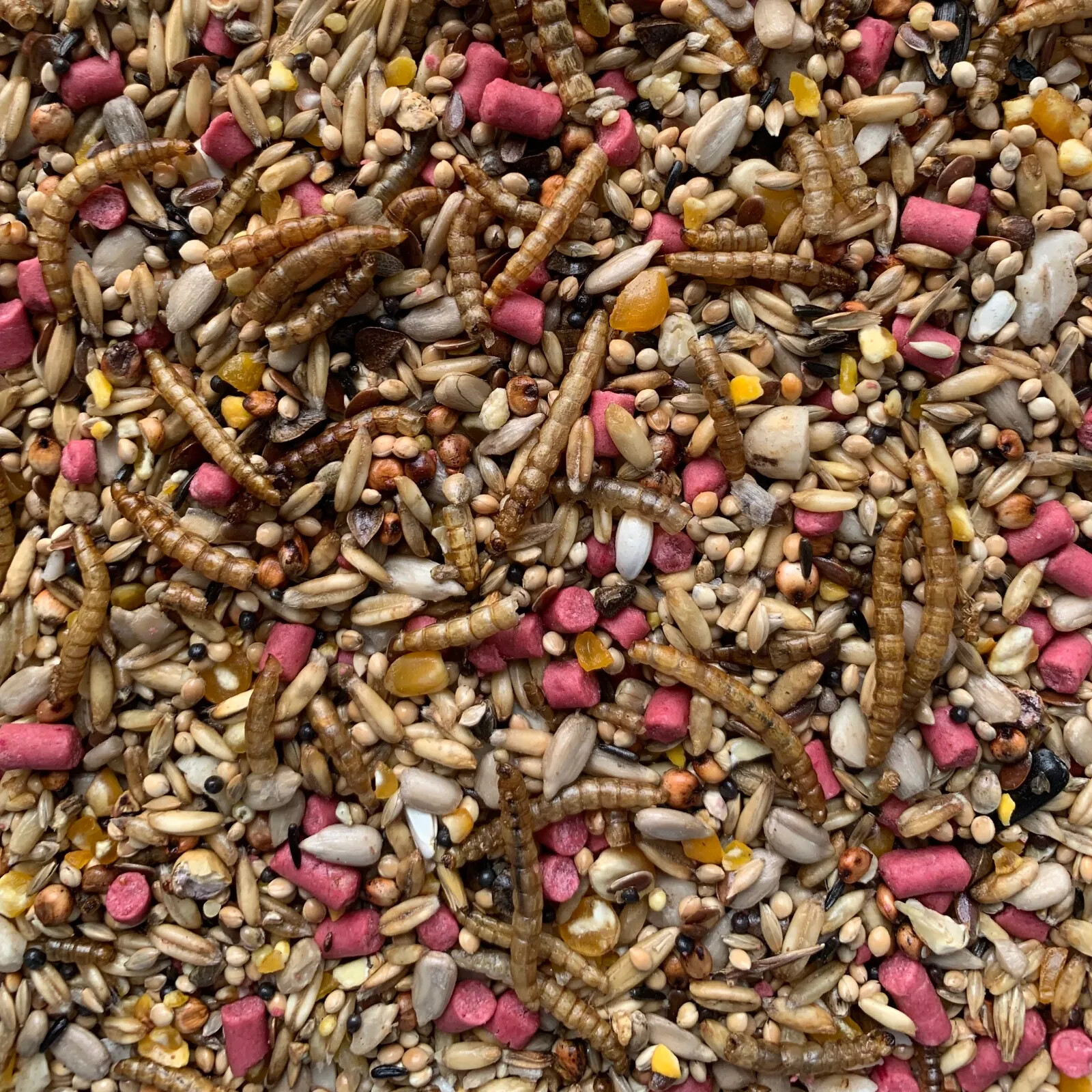 Wild Bird Seed Mix Gourmet 12 Seed Blend With Mealworms eBay
