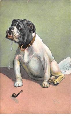 Animals - No. 80659 - Dog - Bulldog near a pipe