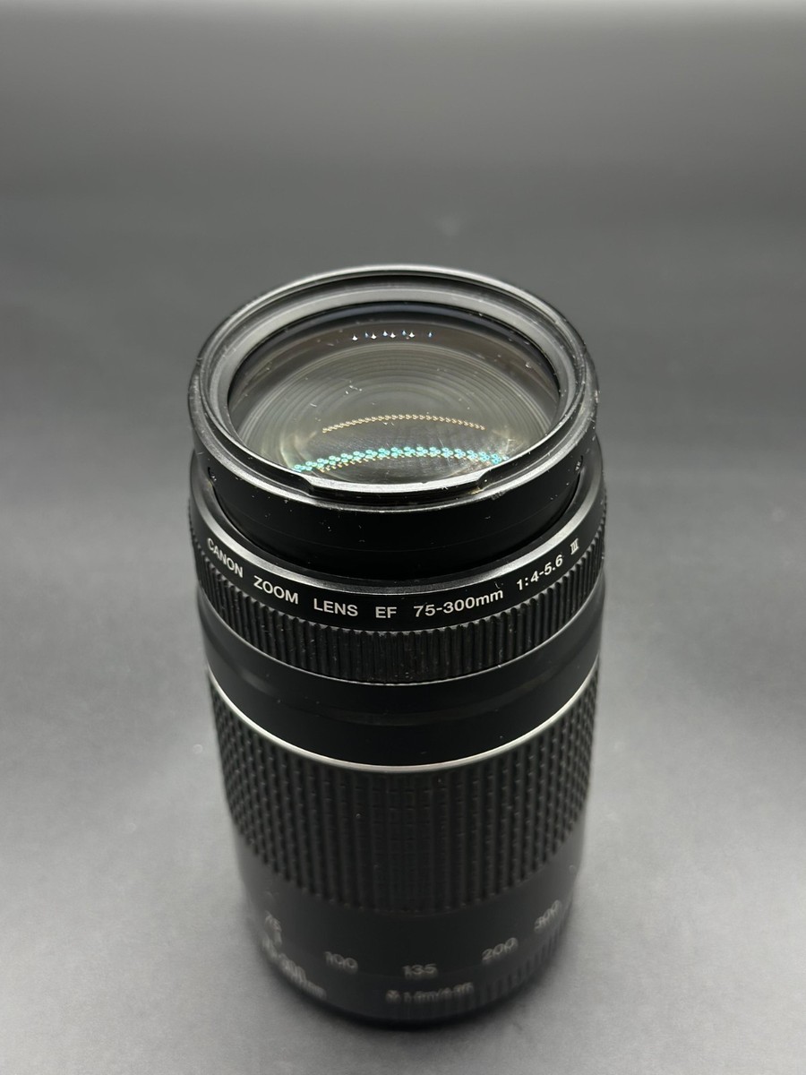 Canon Zoom Lens EF 75-300mm 1:4-5.6 III 58mm | eBay UK