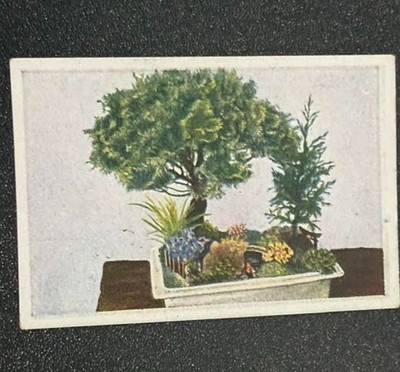 1927-32  JOSSETTI BILDER   The World In Pictures  ALBUM  4-SERIE 147- BILD 1