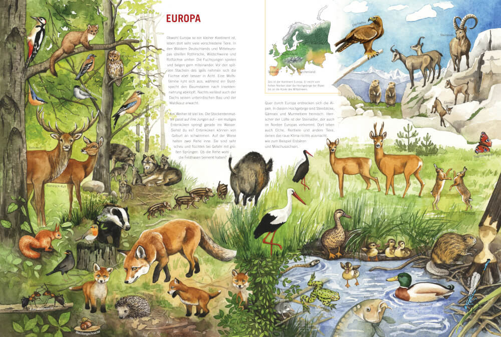 Thumbnail - Mein Großer Tieratlas