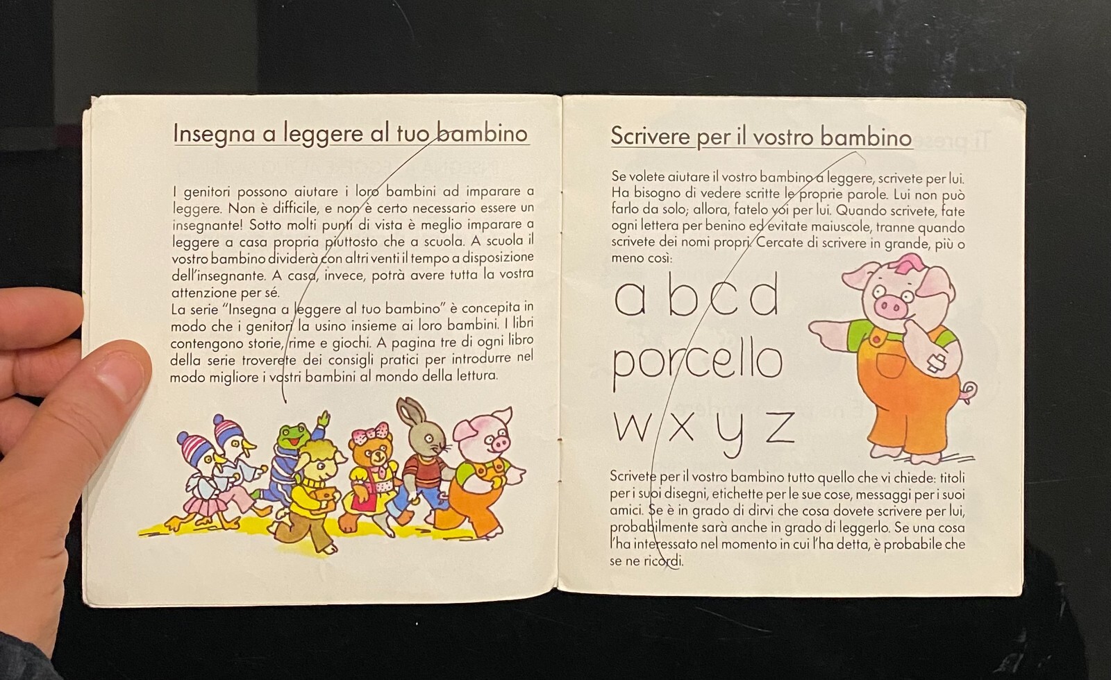 Foto 5 di 8