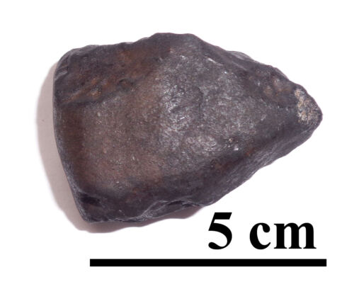 NEWEST! OZERKI meteorite L6, fall June 21, 2018, Russia, individual 91.8 grams - Picture 1 of 6