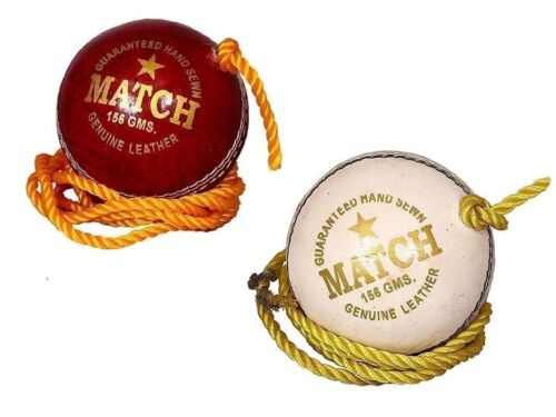 New Trend Leather Match Practice Hanging Cricket Ball  - Pack of 2 - Afbeelding 1 van 3