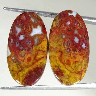 25.80Cts Natural Red Palm Root Agate Oval Pair Cabochon Loose Gemstone 13x25x4mm
