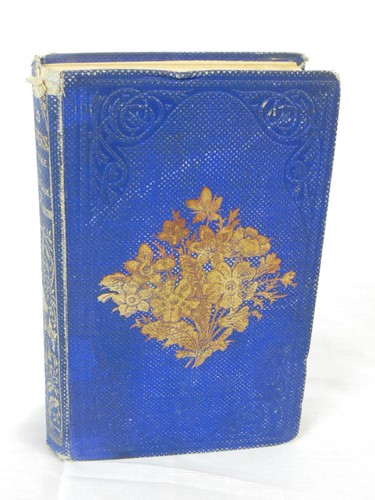 Spencer Thomson, M.D. WILD FLOWERS G. Routledge 1858