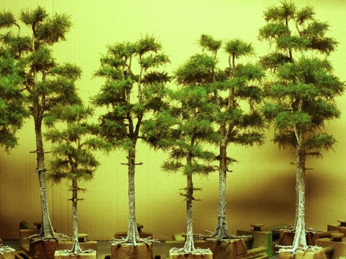 Diorama Modell Nadelbäume, 1 Waldkiefer, ca. 40 cm hoch - Picture 4 of 4