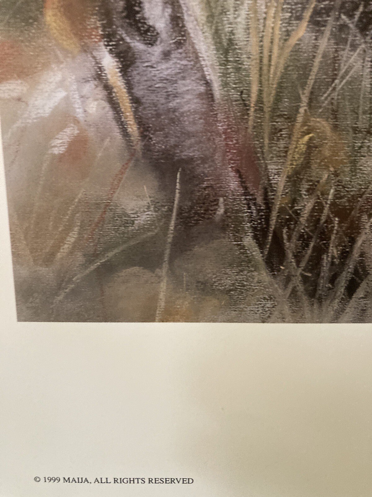 Picture 2 of 7