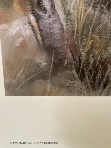 Maija - Aspen Shadows - S/N limited edition print - Mint - Picture 2 of 7