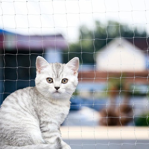 Cat Balcony Net Cat Anti-Fall Fence Net Dog Fence Nets Transparent Nylon Pet ...