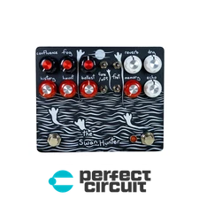 Champion Leccy The Swan Hunter Lo-Fi Echo Pedal EFFECTS NEW PERFECT CIRCUIT