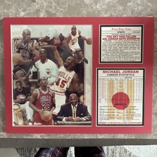Michael Jordan foto e statistiche Chicago Bulls NBA basket