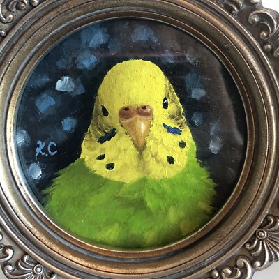 Budgie Original Oil Painting 4.3x4.3in (11x11cm), Oil On Paper,  Framed