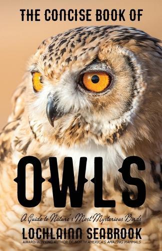 Thumbnail - Lochlainn Seabrook The Concise Book Of Owls (taschenbuch)