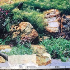 Aquarium Fish Tank Background Backdrop Poster - 2 to 6 FT Length 40cm High