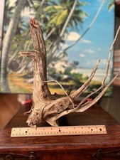 Natural Driftwood Tree Root