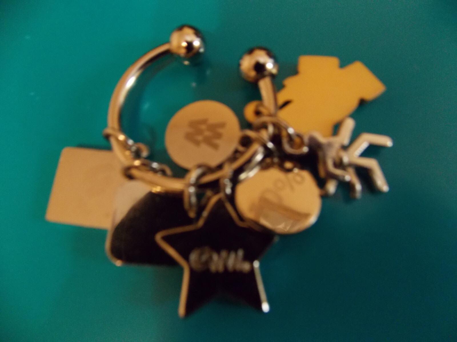 WEIGHT WATCHERS KEYRING KEY CHAIN CHARMS 5 10 4 MONTH 16 WEEK RUNNING