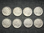 8 Early Buffalo Nickels - Teens 1913 to 1919 - Good Dates Carefully Restored
