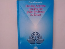 Dreißig Schritte um absolut jedes Problem zu lösen psychology of vision Spezzano