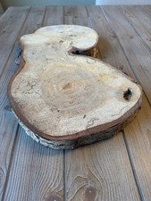Yellow Birch Slice approximately 20 inches by 11.5 inches by 1.5 inches