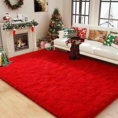 Premium Soft Area Rug 4X5.3 Feet, Modern Fluffy Rugs for Living Room, Shag Carpe