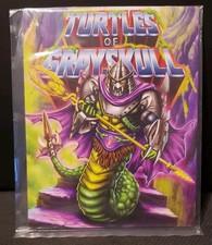 TMNT MOTU TURTLES OF GRAYSKULL SUPER SHREDDER CARDBACK SEALED