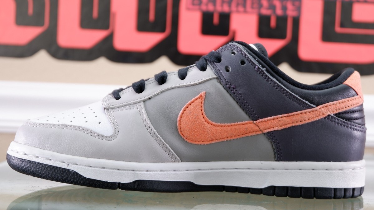 NEW Nike Dunk Low SP EKIN SB Promo Sample Size 5.5 DC7454 100 SB