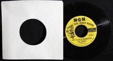 Animals-Eric Burdon-Don't Let Me Be Misunderstood-MGM K13311-Vintage 1964 DJ 45!