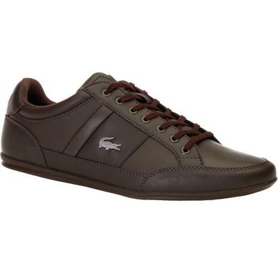 lacoste chaymon brown