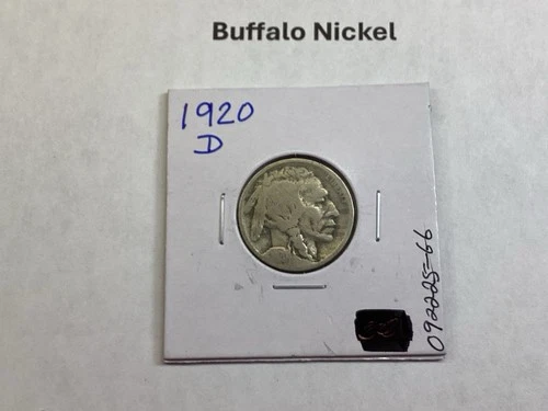 1920 D Buffalo Nickel 5 Cent Coin in Fine Condition 092225 66f