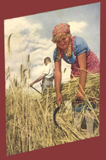 German WW2 Third Reich Artist Postcard  Harvest Time