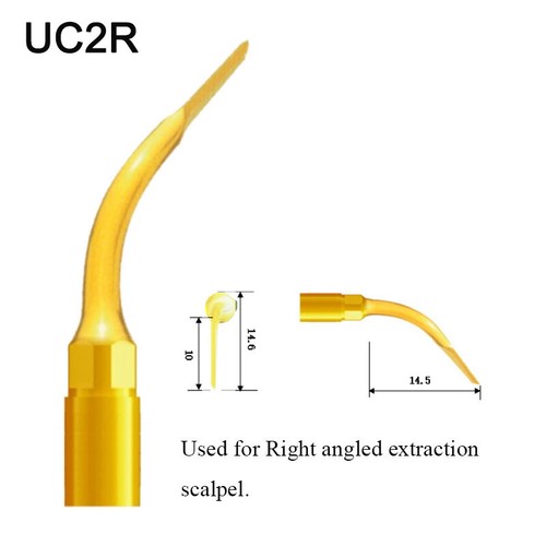 Dental Piezo Surgery Tip for WOODPECKER/ MECTRON Piezosurgery Dental Machine - Picture 36 of 61