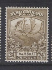 TERRANOVA 125 1919 24c BISTRE TRAIL OF THE CARIBÚ EDICIÓN CAMBRAI MPH CV $60
