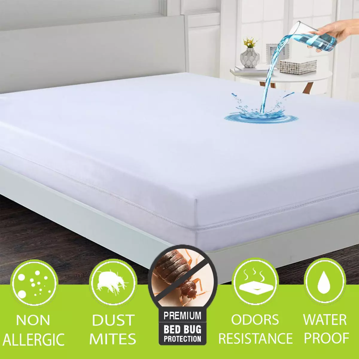 Bed bug protection online