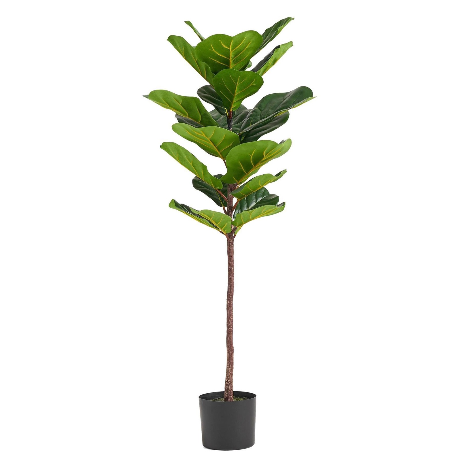 Artificial Office Plants - Image 2