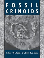 Fossil Crinoids Carlton E. Brett (U. A.) Taschenbuch Kartoniert / Broschiert
