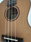 Foto 10 di 11