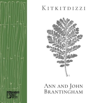 Brantingham - Kitkitdizzi  A Non-Linear Memoir of the High Sierra - Ne - X555z