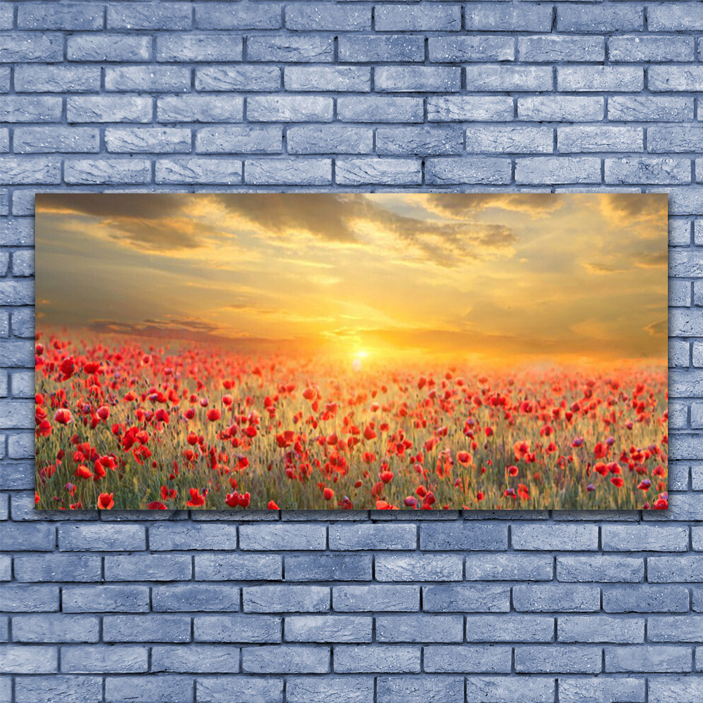 Tableau plexiglas prairie de pavots 140x70 cm pour une déco chambre apaisante