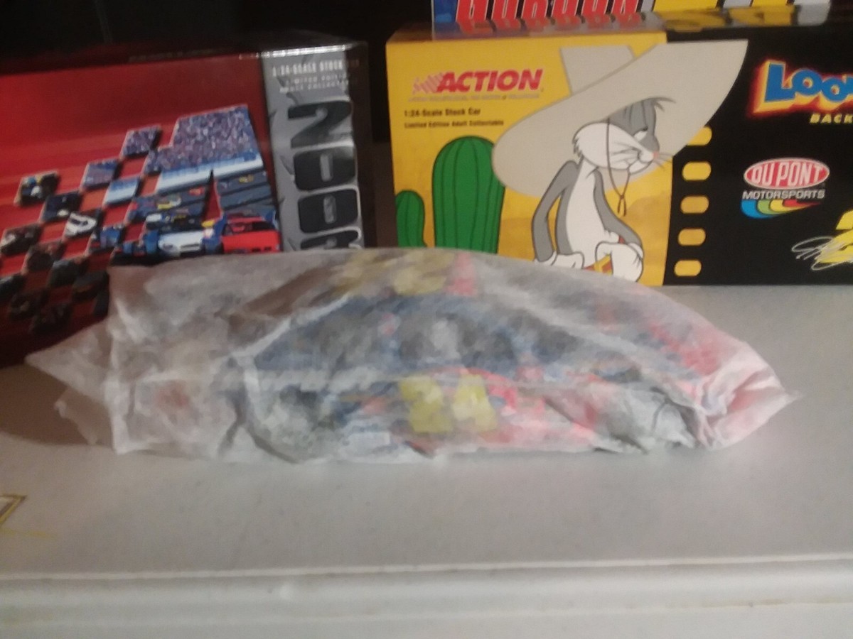 ルーニーテューンズNASCAR公認 1/24scale❹ Vintage 2003 Jeff Gordon Dupont Looney Tunes Back In Action