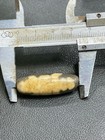 Foto 11 di 12