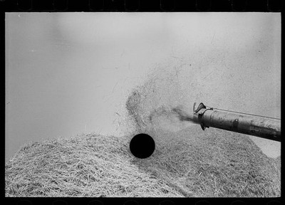 Photo:Frederick Maryland 1937 Wheat Straw Threshing Machine Agriculture