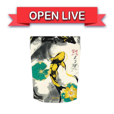 Open Live Koi TAG Slab Mystery Bag Tier 1 Japanese Pokemon Trading Card Game | eBay Open Live Koi TAG Slab Mystery Bag Tier 1 Japanese Pokemon Trading Card Game | eBay