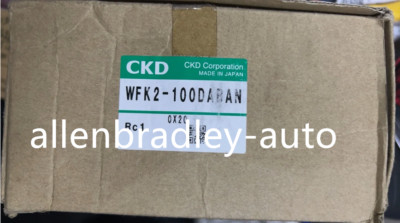 WFK2-100DABAN CKD Flow Meter New WFK2-100DABAN