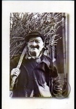 SANCERRE (18) Lot de 2 cartes différentes: VENDANGES / VIGNERON Jules au travail