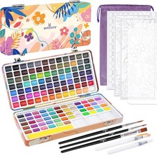 WINSONS Watercolour Paint Set, 138 Vibrant 1 count (Pack of 1), 138 colours 