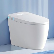 Smart Toilet Bidet Built In Auto Flush Heated Seat One-Piece Remote Modern White
