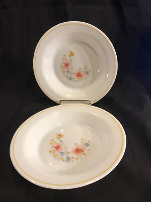 Vintage Arcopal France Soup or Salad Bowl Lot of 2, (8 1/2'' Diameter.) VGC!